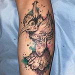 Shane Thibodeaux - @thibodeaux.shane - Instagram