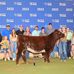 Shane Thomason - Facebook