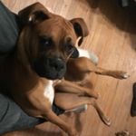 Shane Thomason - @thomason7754 - Instagram