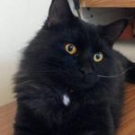 Shane Thorpe - @tech_support - Instagram