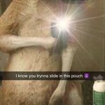 Shane Thorpe - @cryptid47 - Instagram