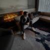Sean Timberlake - @1seantimberlake_ - TikTok