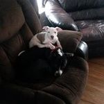 Shane Timberlake - @timberlakeshane - Instagram