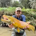 Shane Montgomery - @shane.montgomery.creek_trout - Instagram