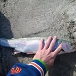 Shane Trout - @troutshane - Instagram