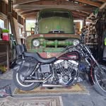 Shane Tuck - @shane.tuck.79274 - Instagram