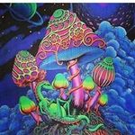 Shane Upton - @shane.upton.7758 - Instagram