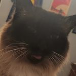 Shane - @shanestrutz - Instagram