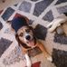 Shane Wolfe - Facebook