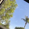 Shawn VanDemark - @shawnvandemark0 - TikTok