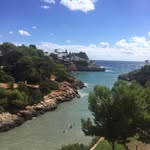 Shane Venables - @shane.p.venables - Instagram