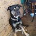 Shane Venables - Facebook