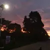 SHANE - @shane_via - TikTok
