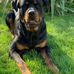 Shane Vickers - Facebook