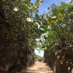 Shane Vinson - @vinsonshane - Instagram