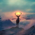 Shane Vinson - @shane.vinson.7927 - Instagram