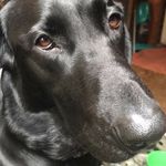 Shane Vitale - @shane.vitale1 - Instagram