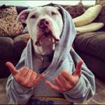 Shane Te Waaka - @tewaruiti - Instagram