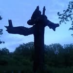 Shane Wagenaar - @wagenaarshane - Instagram