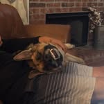 Shane Waggoner - @12shane34 - Instagram