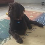 Shane Walker - @shane.walker.7106 - Instagram