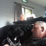 Shane Walmsley - @shane.walmsley - Instagram
