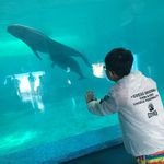 Shane - @shane____wang - Instagram