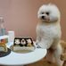 Shane Wang - Facebook