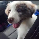 Shane Ware - @shaneware16 - Instagram