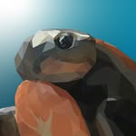 Shane Warman - @shane.warman_art - Instagram