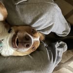 Shane Warner - @shane.warner.104 - Instagram