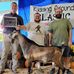 Shane Warthan - Facebook