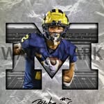 Shane Weatherly - @shaneweatherly31577 - Instagram
