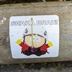 Shane Webb - @shane_webb.808 - Instagram