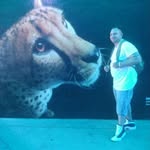 Shane Webb - @shanewebb43 - Instagram