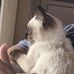 Shane Webb - Facebook