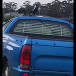 Shane Webb - @shanewebb24 - Instagram