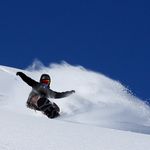 Shane Webber - @shane_webber - Instagram