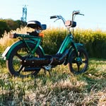 Liam Shane Wedel - @liam_wdel - Instagram