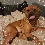 Shane Weeks - @shane.weeks.3572 - Instagram