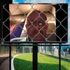 Shane Wegner979 - @shanewegner666 - TikTok