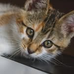 Shane Wegner - @soforghad - Instagram