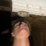 Shane Wegner - @wegnershane - Instagram