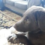 Shane Weir - @weir_shane - Instagram