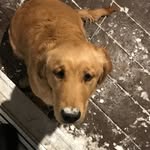 Shane Welch - @shane_welch123 - Instagram