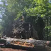 shane.welch.504 - @shane.welch.504 - TikTok