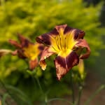 Shane Wellman - @wellman.shane - Instagram