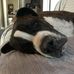 Shane Westhoff - Facebook