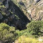 Shane Wentzel - @wentzelshane - Instagram