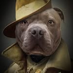 Shane Wesson - @wessonshane - Instagram